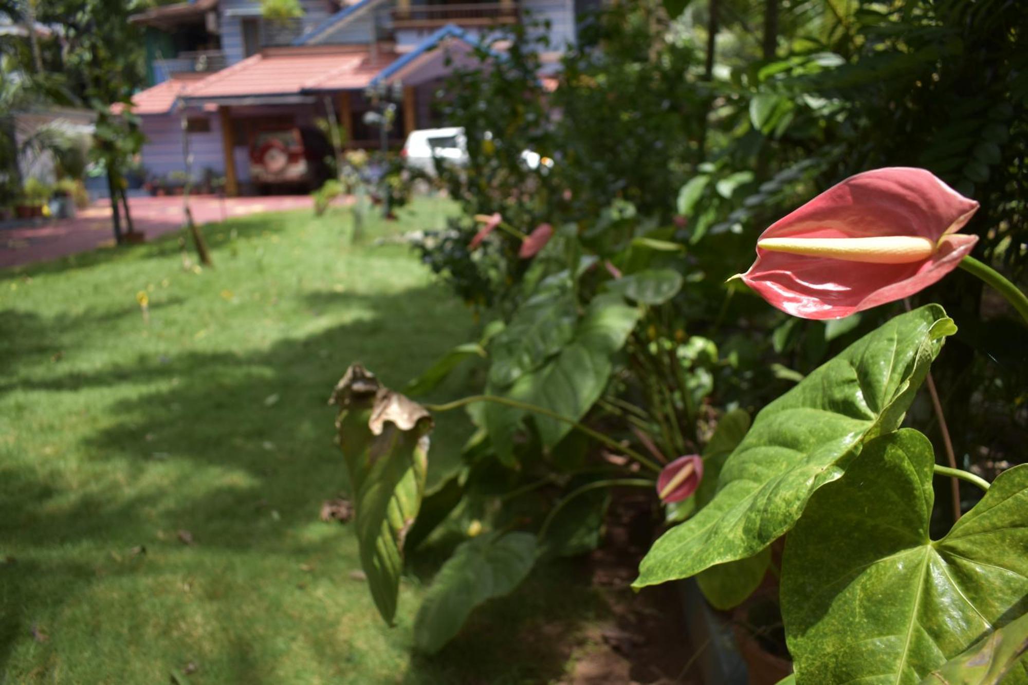 Ben'S Villa Kannur ! Exterior foto